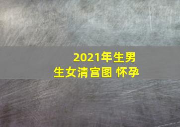 2021年生男生女清宫图 怀孕